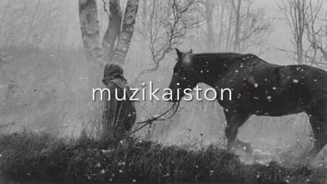 ВИДИО ГАРИБИ Я ДАСГИРИ КНЕН 🙏 смотреть онлайн