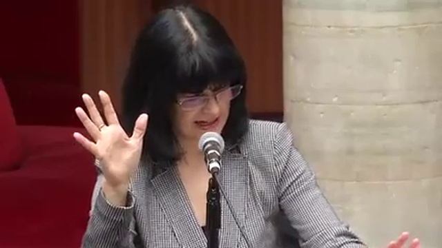 Homenaje a Juan Ibáñez y Carlos Fuentes en el FIC 41 (4 de 6) смотреть онлайн