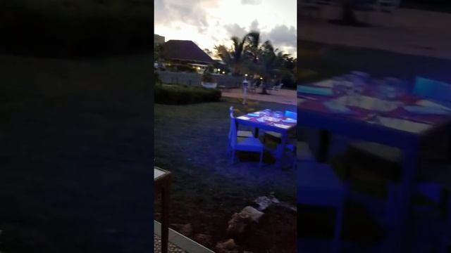 Melia Jardines Del Rey 2019 champion смотреть онлайн