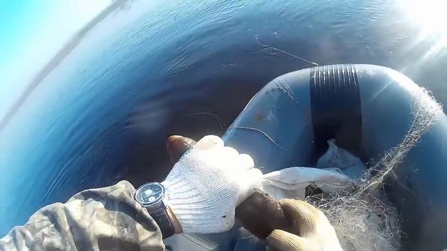 Рыбалка сетями, Осенняя Щука, с лодки ПВХ FLINC 360 LA.Fishing in Siberia смотреть онлайн