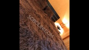 Меховое покрывало натуральный мех ламы, пошив мехового пледа, оделяло г.Харьков