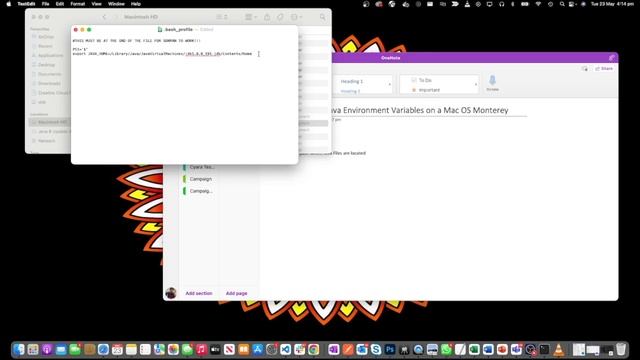 How to Setup Java Environment Variables on a Mac OS Monterey смотреть онлайн
