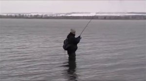 Ловля судака на Курчатовском водохранилище