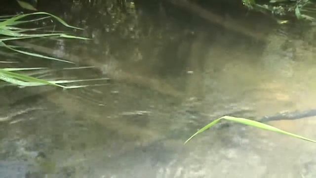 Медитация-души и тела смотреть онлайн