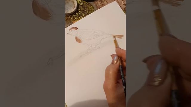 рисунок воробей 3д смотреть онлайн