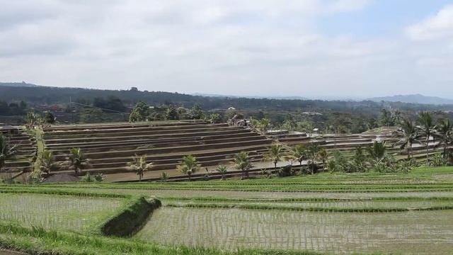 Dokumentasi tour taman ayun temple, jatiluwih, bedugul & tanah lot смотреть онлайн