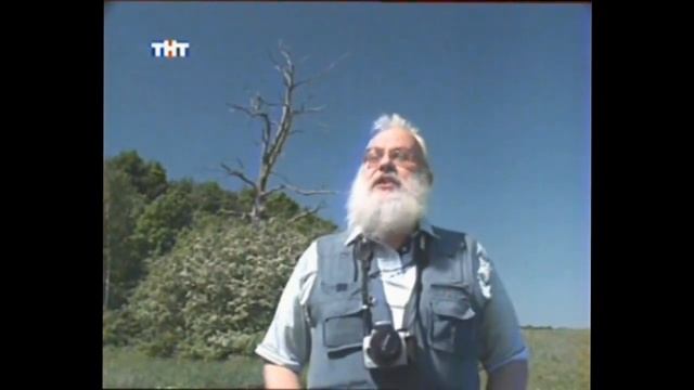 НЛО Новая волна  Необъяснимо но Факт  Ведущий Сергей Дружко