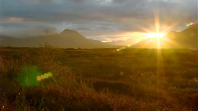 ЛЮБВЕОБИЛЬНЫЕ АНГЕЛЫ СТРЕМЯТСЯ ЗАЩИТИТЬ НАС. Избранные цитаты об ангельском мире.mp4 смотреть онлайн