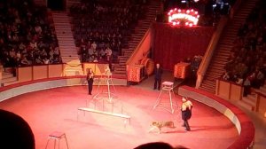 Случай в Гомельском цирке