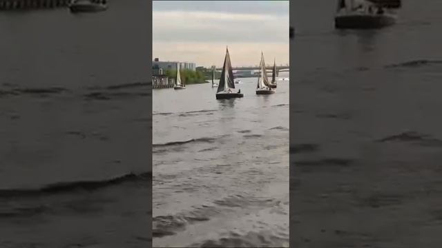 [ Альбом ]
В Санкт-Петербурге устроили заплыв на яхтах под парусами с символикой ЧВК «Вагнер» Тепер смотреть онлайн