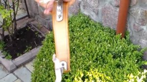 Мастеровой мостик на скрипку.