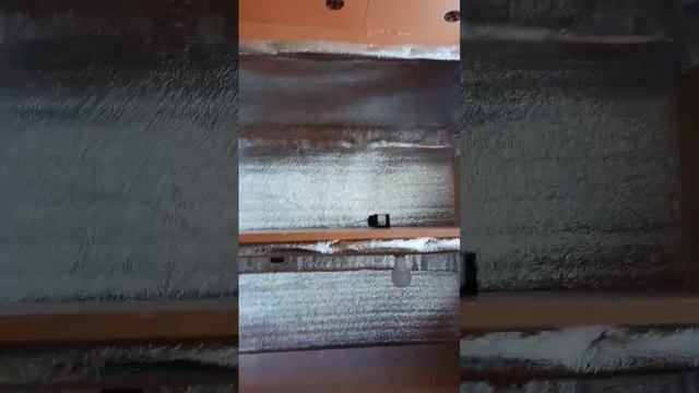 🤔Стеллаж для рассады своими руками #клубника #туя #малина #ежевика #рассада смотреть онлайн