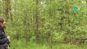 Нижне-Свирский заповедник