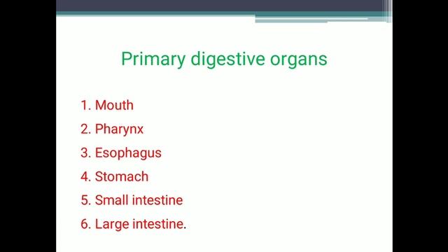 Digestive system Part -Introduction PPT смотреть онлайн