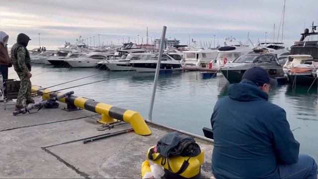 Прогулка по Сочи❤️Морпорт сегодня🌲🌊🍊 #сочисегодня #сочионлайн #сочи2023 #набережнаясочи смотреть онлайн