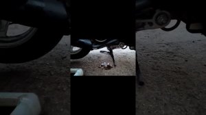 Меняю масло на Honda Dio AF-62??