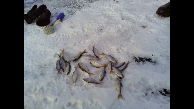 Зимняя Рыбалка(Лёва и Друзья)! смотреть онлайн