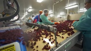 Песня Про Малину - Блиппи на Русском - Изучай этот Мир вместе с Блиппи - Blippi