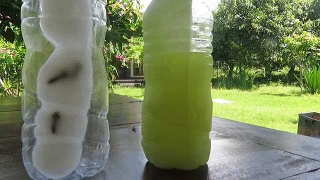 Как отличить масло натуральное от масла с примесями! смотреть онлайн