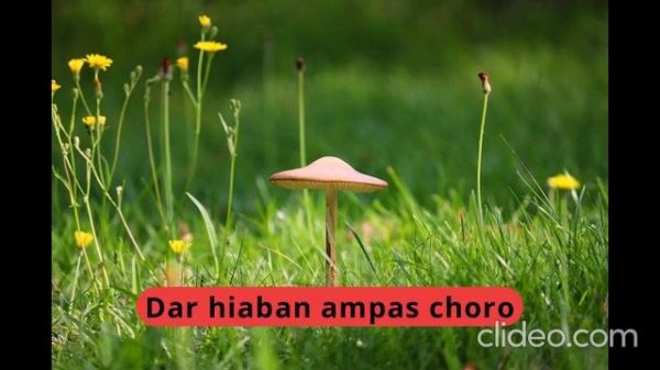 Reza Malekzadeh Aram aram karaoke