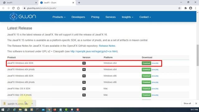 How to Install JDK 14.0.2, NetBeans 12.1, JavaFX 15 and Scene Builder 11.0.0 on Windows 10 x64 смотреть онлайн
