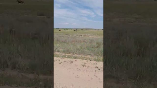 Наадым2018 07 14 смотреть онлайн