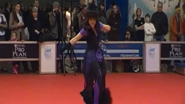 "Золотой ошейник 2013" Фристайл. (Танцы с собаками) смотреть онлайн