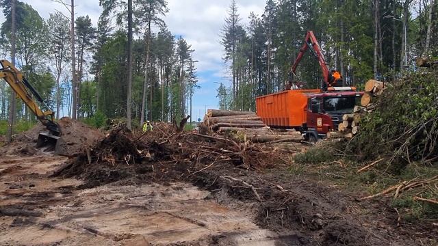 Удаление пней Tallinn.Утилизация веток деревьев. смотреть онлайн