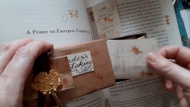 Hibernation Projects - Reading (3 Books and Annotating Them) смотреть онлайн