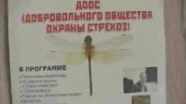 Клуб К.Кедрова и ДООС. Открытие смотреть онлайн