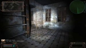 S T A L K E R  ОП 2  Красавица в клетке прохождение   #259