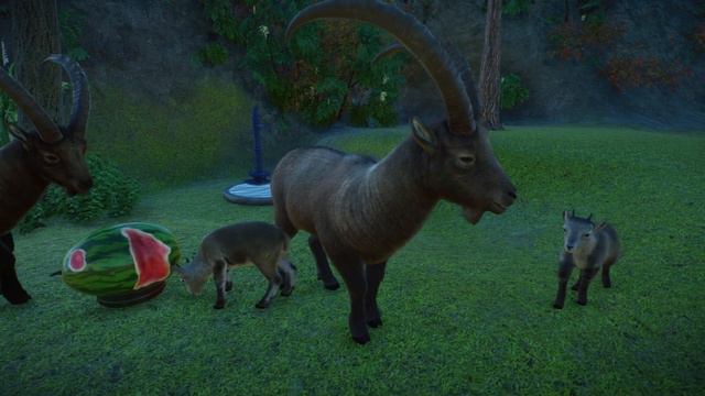 Planet Zoo (PC)(English) #119 8 Minutes of Alpine Ibex (Europe DLC) смотреть онлайн