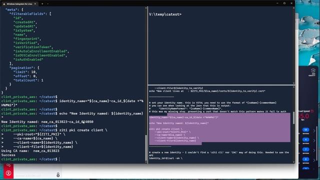 Using 3rd Party CAs with Ziti CLI, and ZAC смотреть онлайн