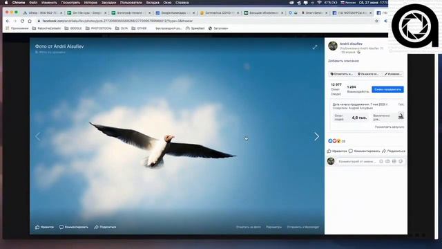 Птахи - як початківцю навчитися круто знімати тварин, птахів і навіть дітей. смотреть онлайн