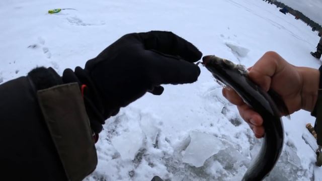 КАК НАЛОВИТЬ РЫБЫ без эхолота и пешни. Зимняя рыбалка на гирлянду смотреть онлайн