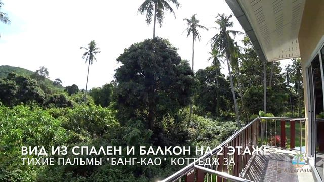 Тихие Пальмы - Банг Као. Коттедж с тремя спальнями смотреть онлайн