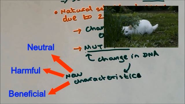 Natural Selection (Darwin's theory vs Lamarck's theory) смотреть онлайн