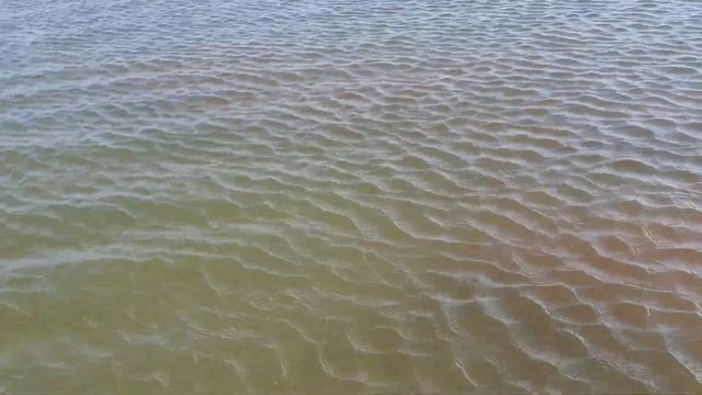 Кусочек лета в сосновом бору ?Соленое озеро .#шалдай #павлодар #вдеревне #блогнайманки