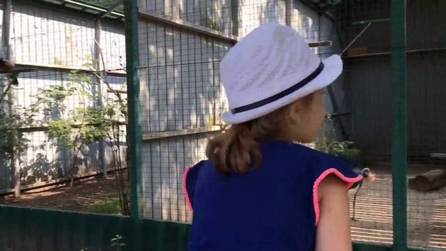 Злата в зоопарке / Zlata in the zoo смотреть онлайн