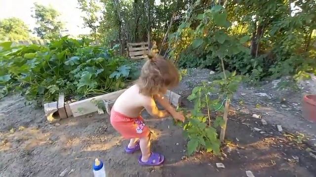 #Влог#. Готовимся к установке газа в наш дом. Папа уехал в Сургут. смотреть онлайн