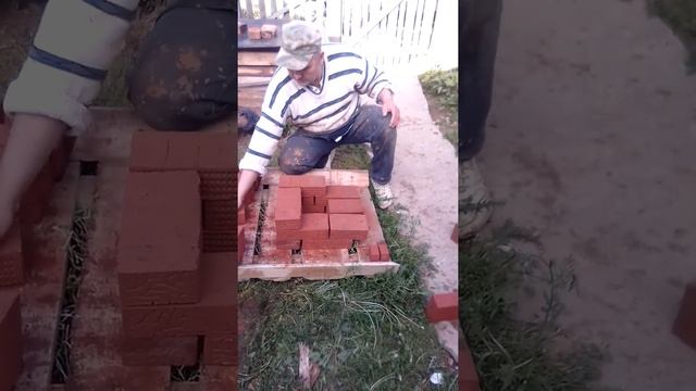 кладка выдры смотреть онлайн