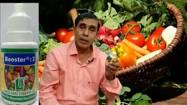 সবজি ও ফলের ফলন বেশী পেতে চান? দেখুন এই ভিডিও|| смотреть онлайн
