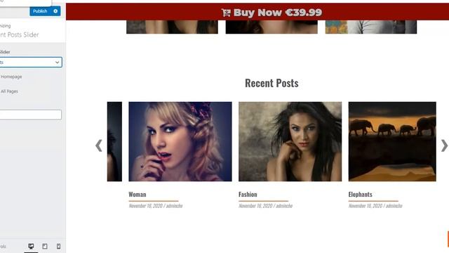 Photography Studio WordPress Theme - Recent Posts Slider смотреть онлайн