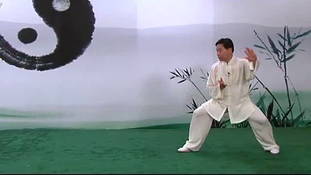 Hong Junsheng Chen Taiji Quan Forma 24 - Li Enjiu смотреть онлайн