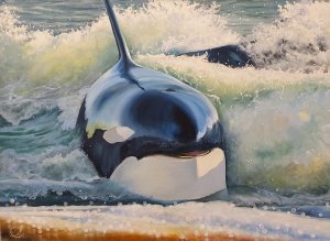 Как нарисовать волну, как нарисовать косатку