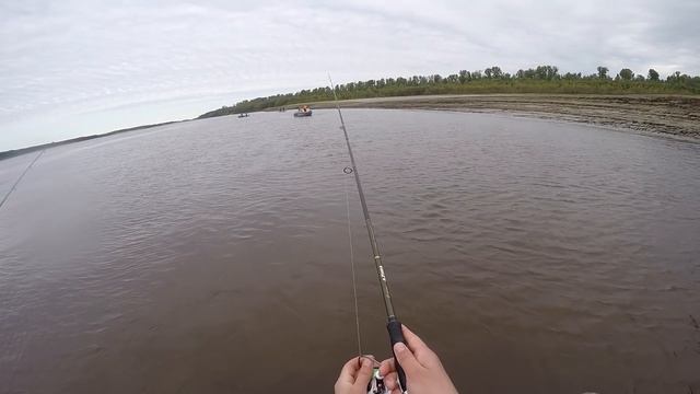 Осеняя ловля крупной щуки и зачетных окуней на Иртыше ,щука на 13 килограмм!!! смотреть онлайн