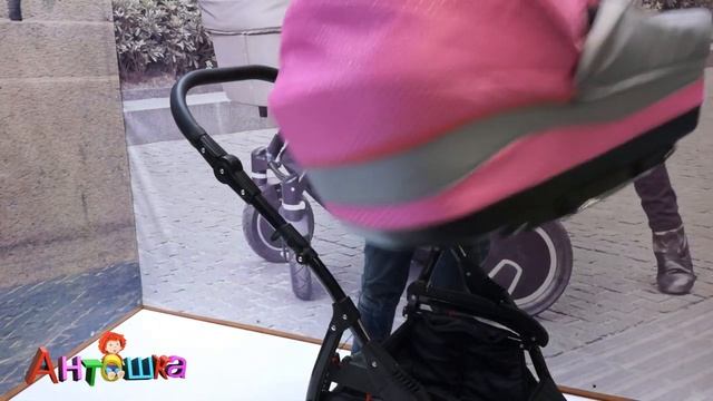 Коляска 2 в 1 Aneco venezia zippy смотреть онлайн