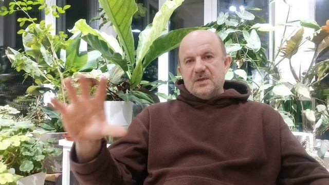 Водянка рассады совсем не от воды!