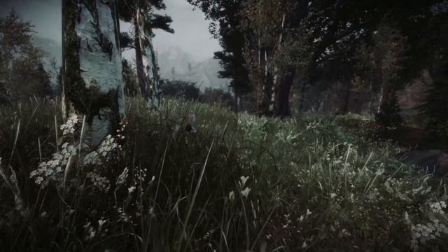 Скайрим ТОП 5 НОВЫХ ЛУЧШИХ ENB 2021 ГОДА смотреть онлайн