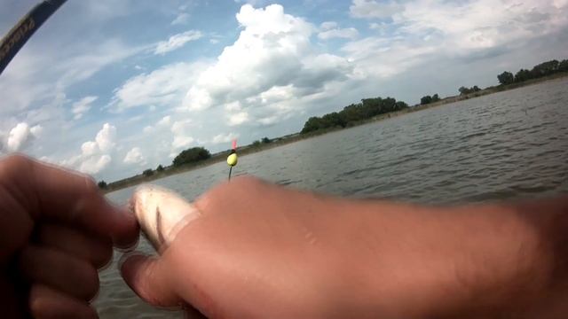 летняя рыбалка перед дождем карась на болонскую удочку смотреть онлайн